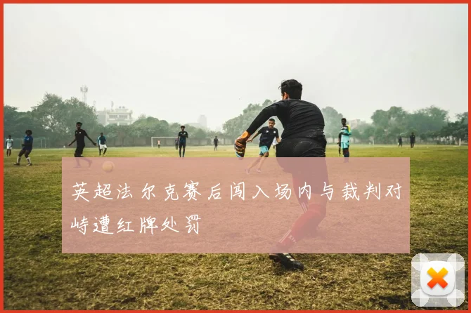 英超法尔克赛后闯入场内与裁判对峙遭红牌处罚